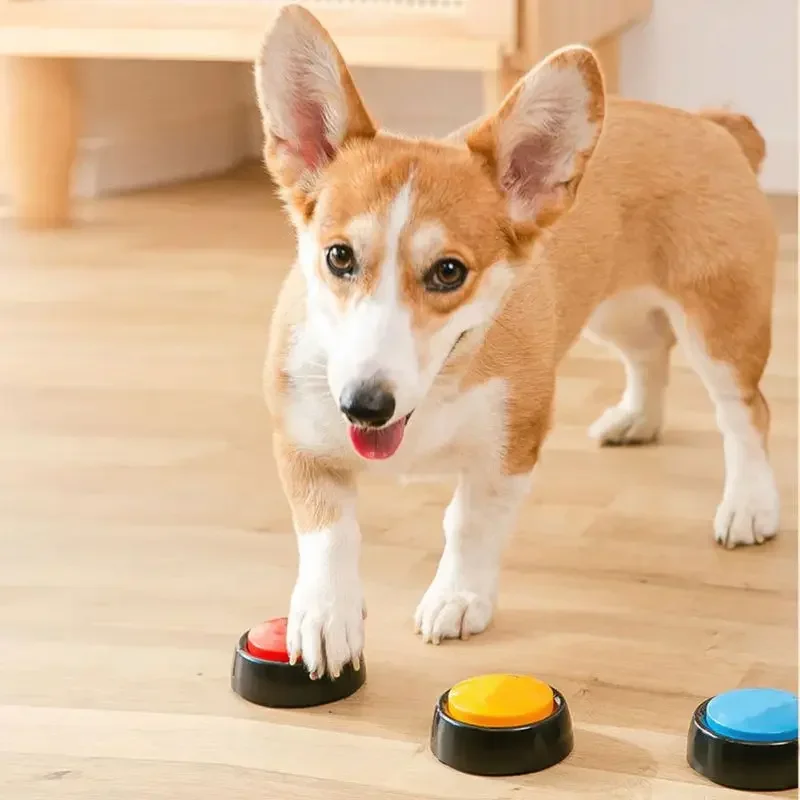 ペットサウンドボックス録音可能なトーキングボタン猫ボイスレコ - Event Party Box のレビューと価格
