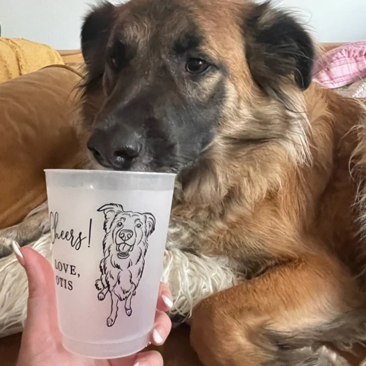 10/50 パーソナライズされた納屋風ウェディング会場用フロ - Plastic Cup 50Pcs のレビューと価格